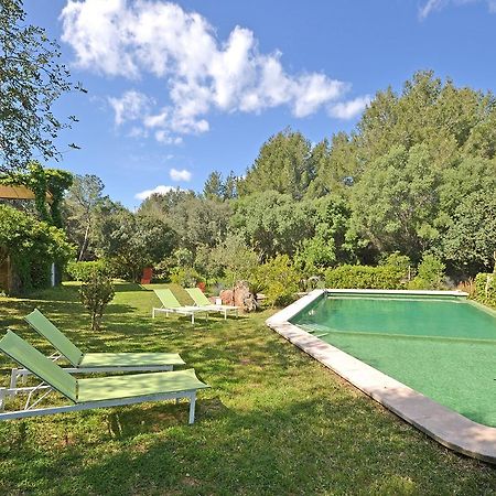 Villa Spiros Alcudia Kültér fotó